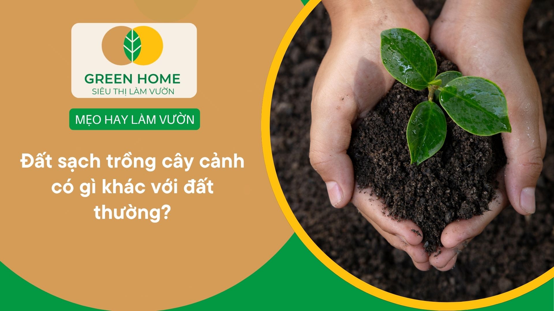 Đất sạch trồng cây cảnh có gì khác với đất thường?