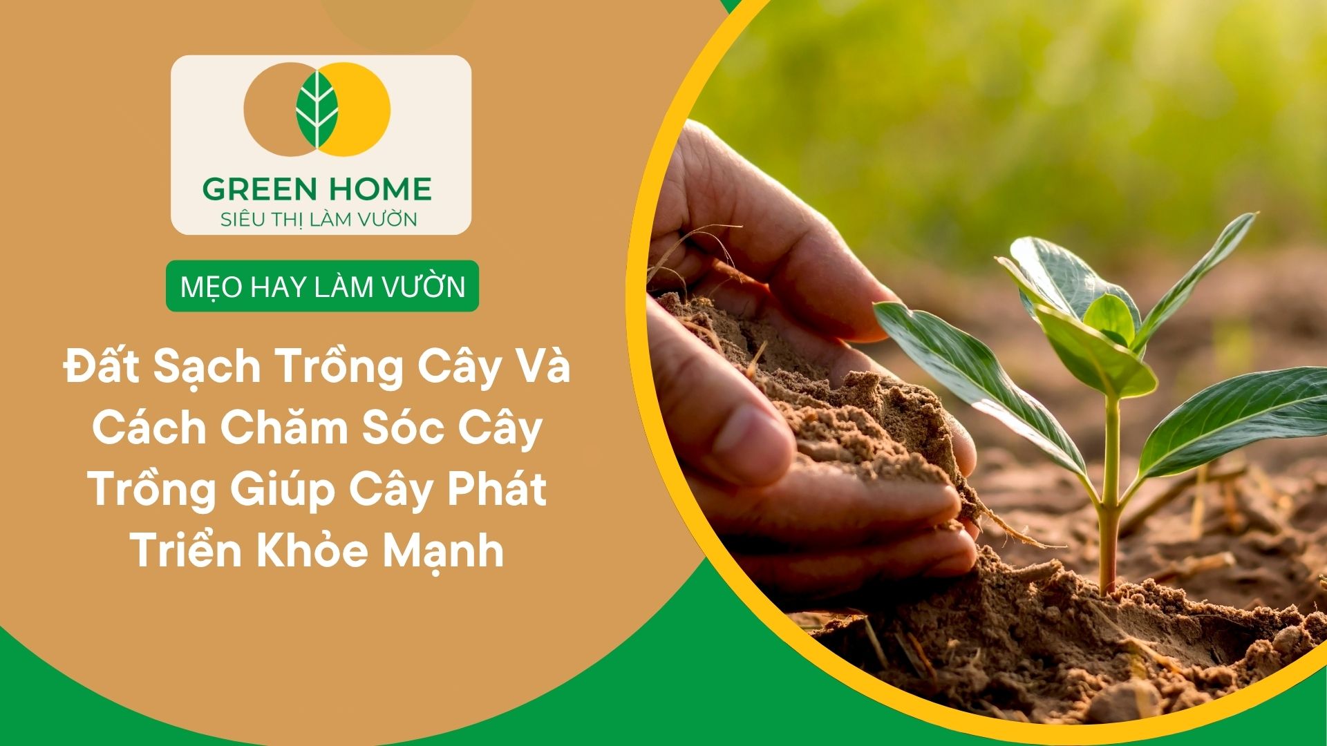 Đất Sạch Trồng Cây Và Cách Chăm Sóc Cây Trồng Giúp Cây Phát Triển Khỏe Mạnh