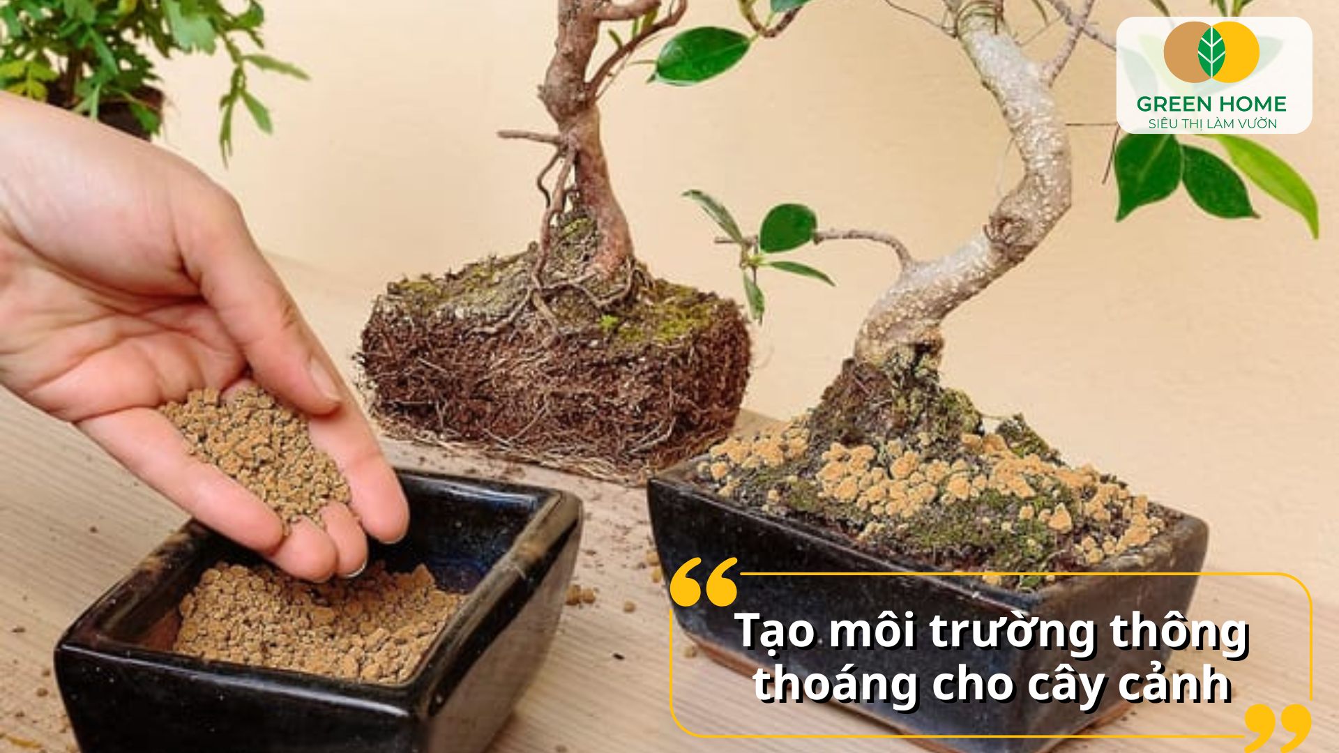 Đất trồng Akadama giàu khoáng chất tự nhiên từ núi lửa Nhật Bản