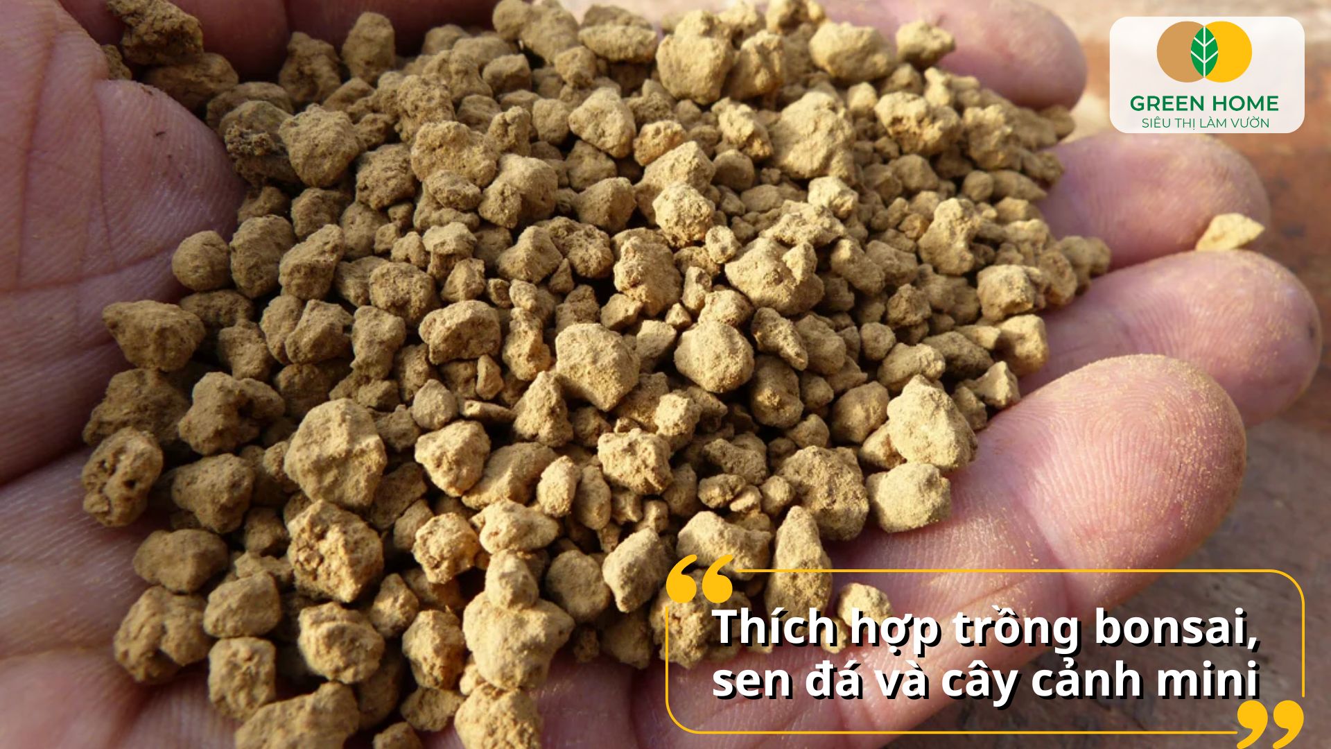 Hạt đất trồng Akadama thay đổi màu khi ẩm, dễ kiểm soát tưới nước