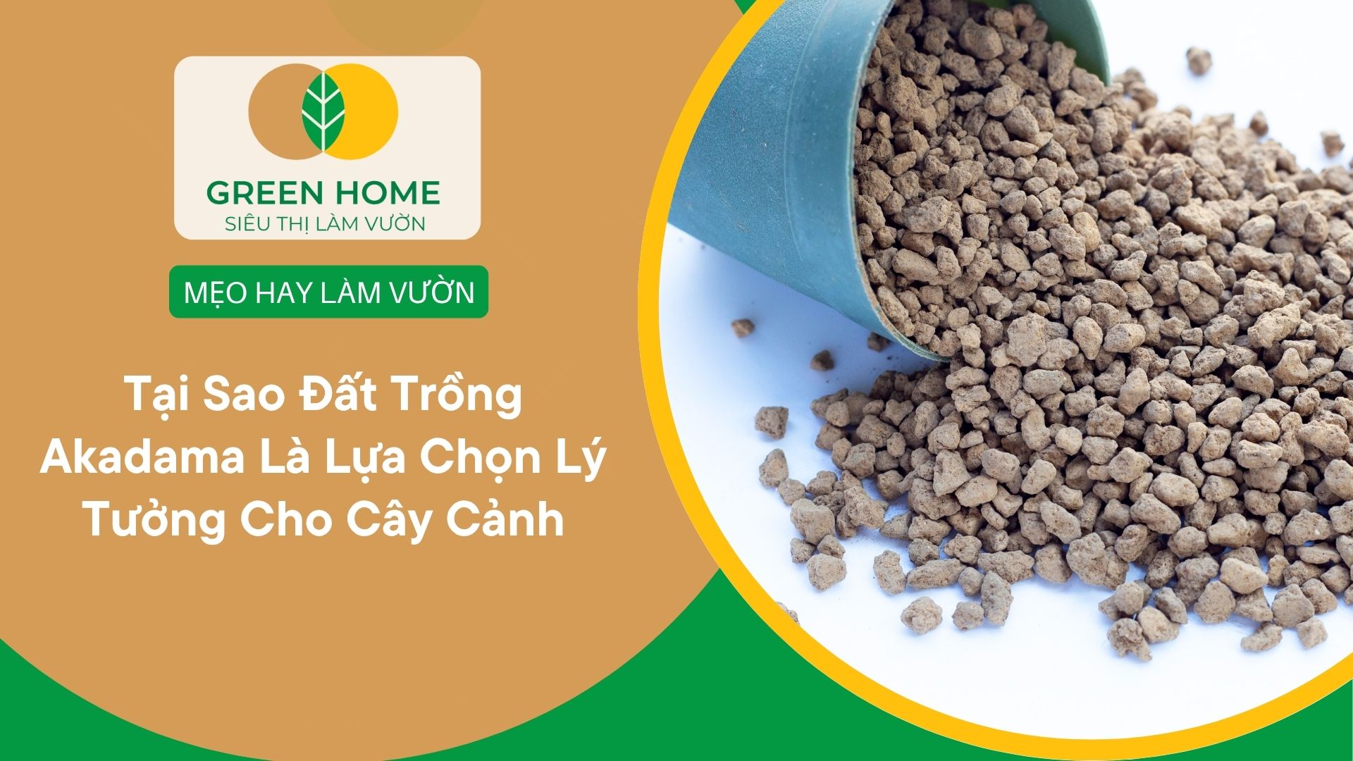 Tại Sao Đất Trồng Akadama Là Lựa Chọn Lý Tưởng Cho Cây Cảnh
