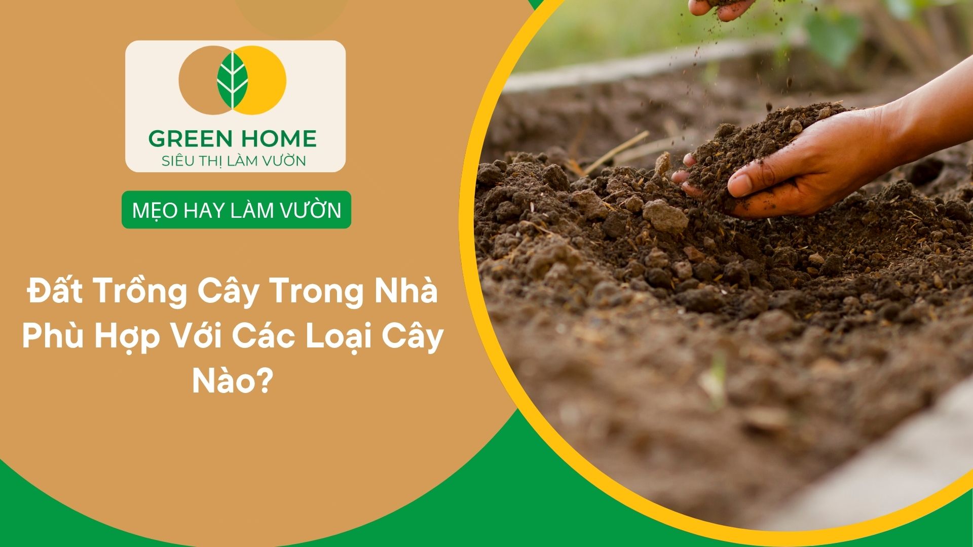 Đất Trồng Cây Trong Nhà Phù Hợp Với Các Loại Cây Nào?