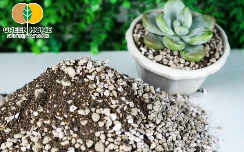 Kiểm tra định kỳ giúp duy trì chất lượng đất trồng sen đá Soil Mix lâu dài.