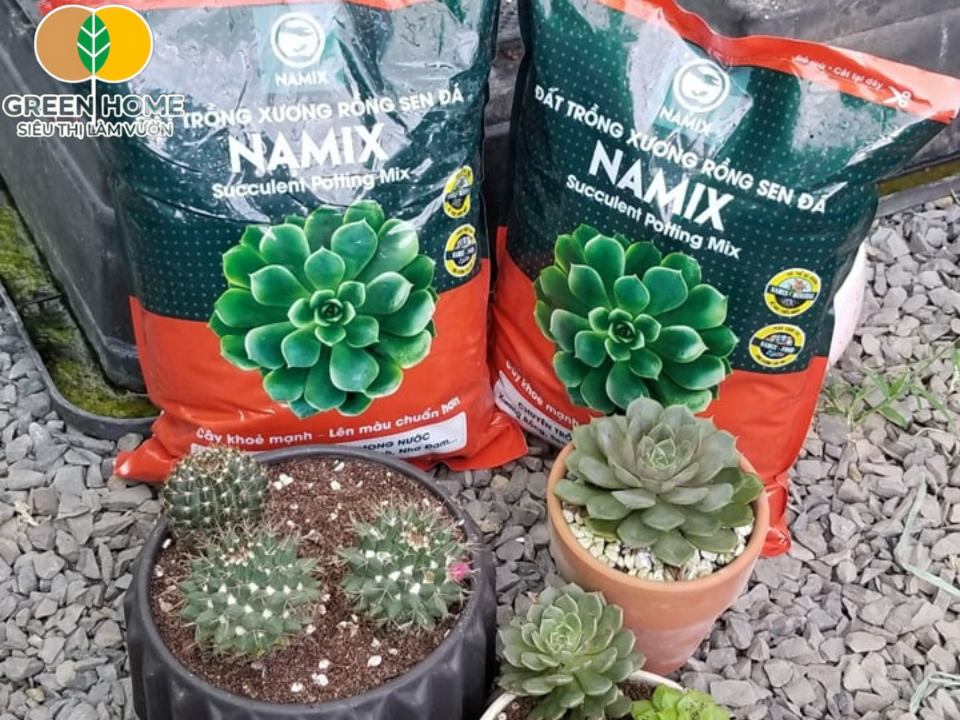 Đất tự trộn Namix giúp giữ độ ẩm vừa đủ, hỗ trợ cây phát triển ổn định.