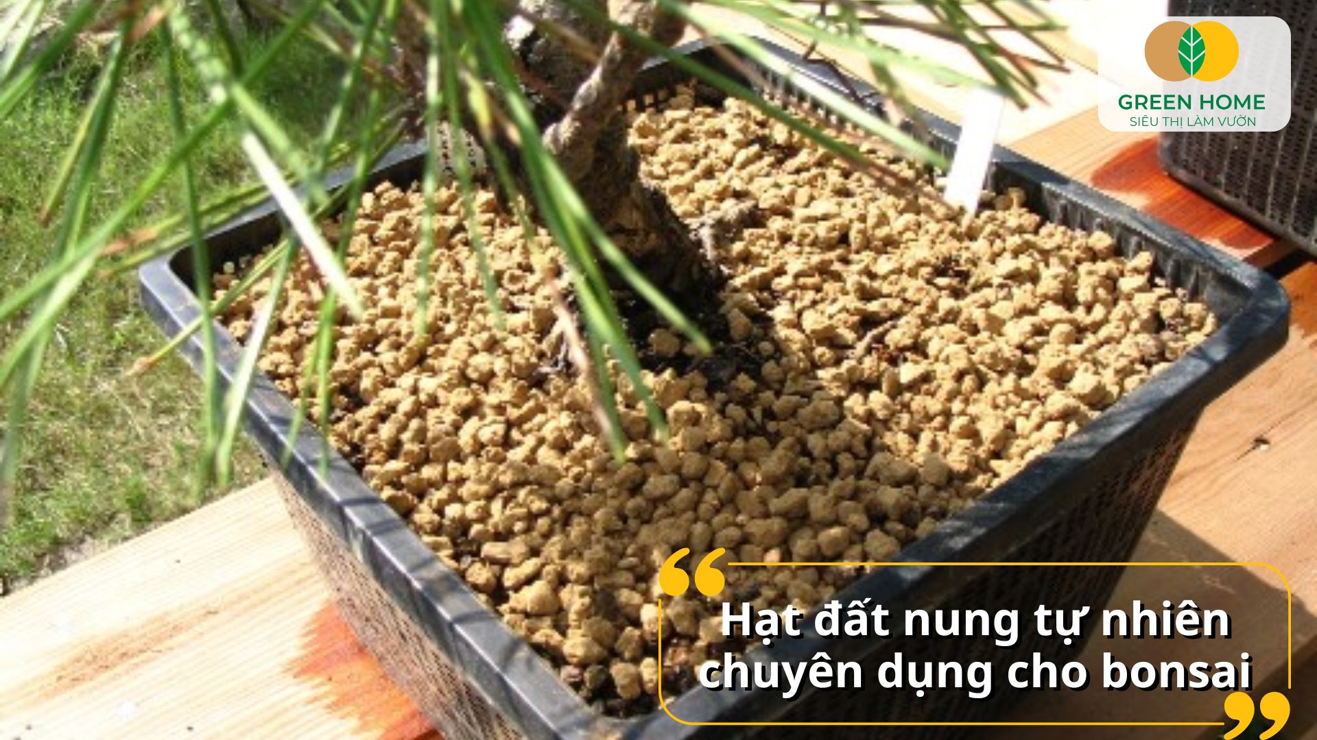Độ tơi xốp hoàn hảo của đất trồng Akadama hỗ trợ thoát nước tốt