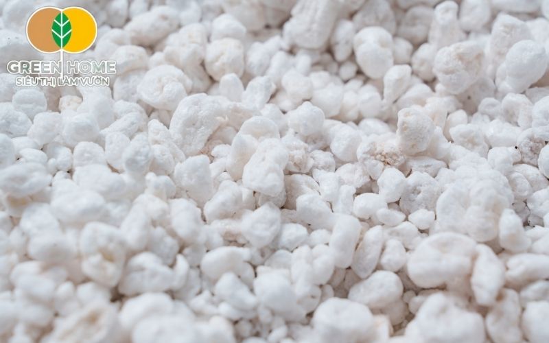 Giá thể perlite là lựa chọn lý tưởng cho người mới trồng bonsai.