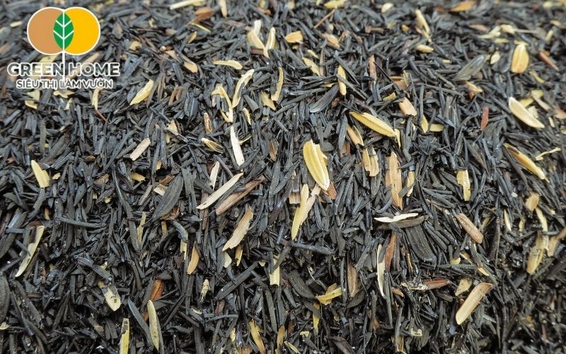 Sử dụng giá thể trấu hun đúng cách giúp cây trồng phát triển bền vững