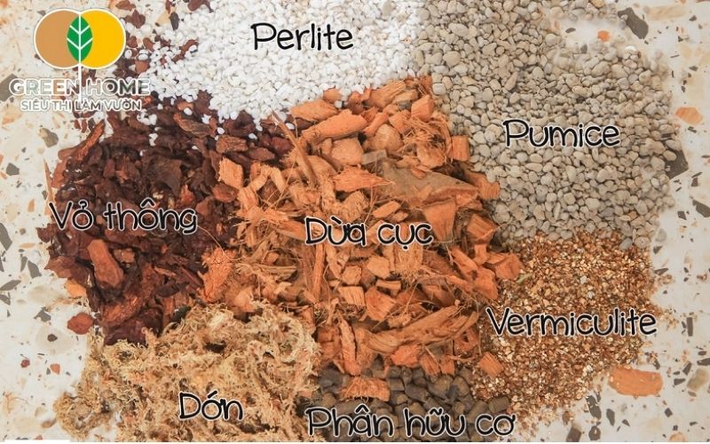 Phân hữu cơ hoặc NPK giúp cây Monstera phát triển khỏe mạnh