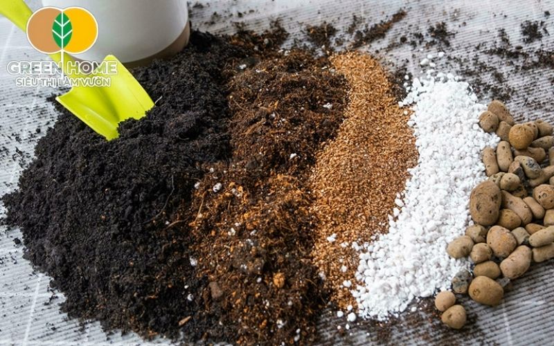 Giá thể trồng cây cảnh cần giữ ẩm và thoáng khí để nuôi dưỡng cây