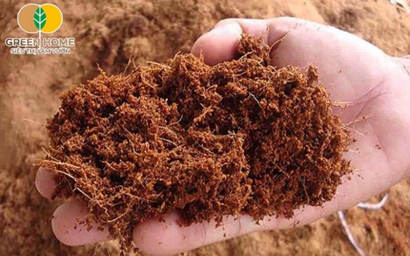 Giá thể trồng cây cảnh giúp giữ ẩm, thoáng khí và giàu dinh dưỡng cho cây phát triển