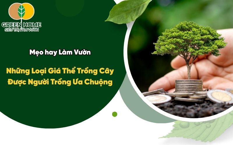 Những Loại Giá Thể Trồng Cây Được Người Trồng Ưa Chuộng