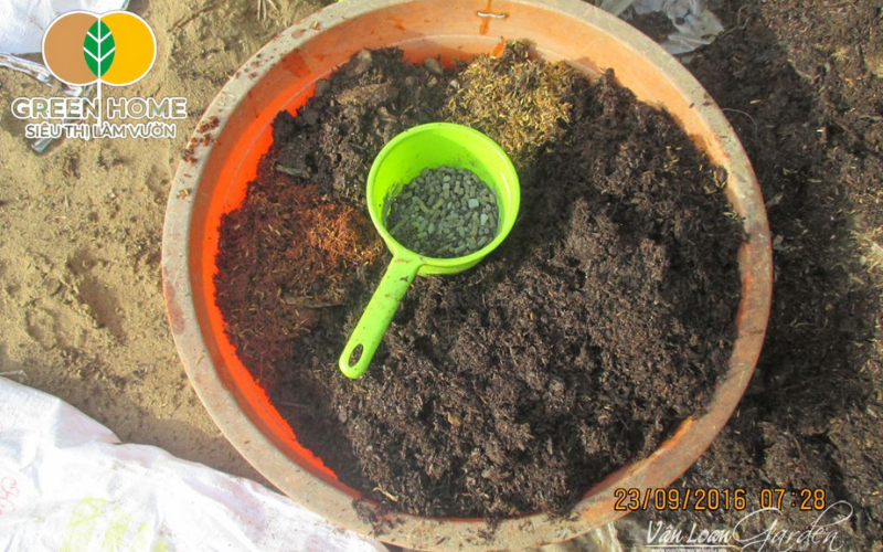 Giá thể trồng cây như xơ dừa giữ ẩm và thoáng khí, phù hợp trong môi trường đô thị