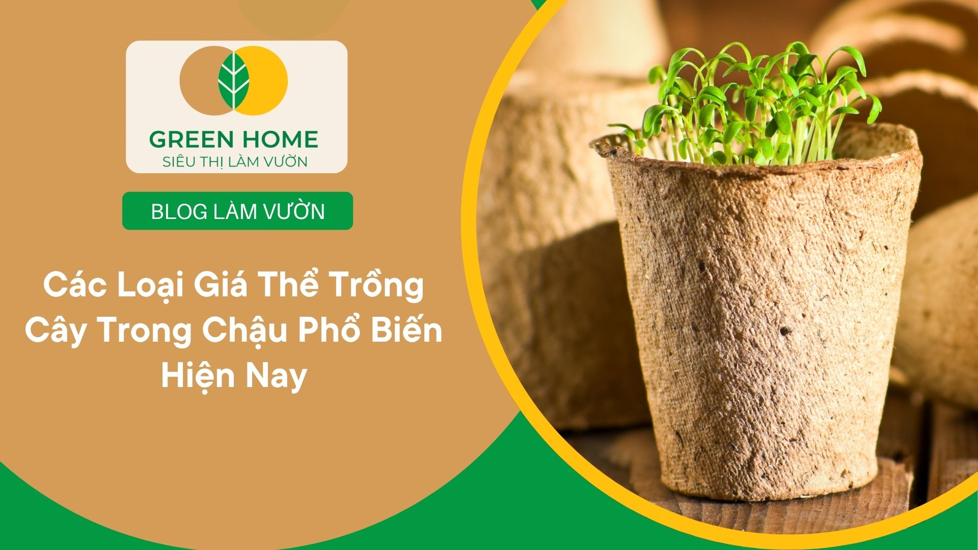 Các Loại Giá Thể Trồng Cây Trong Chậu Phổ Biến Hiện Nay
