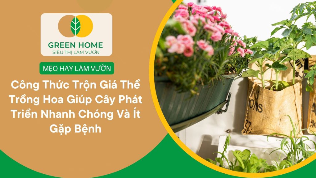 Giá thể trồng hoa sạch, hạn chế sâu bệnh