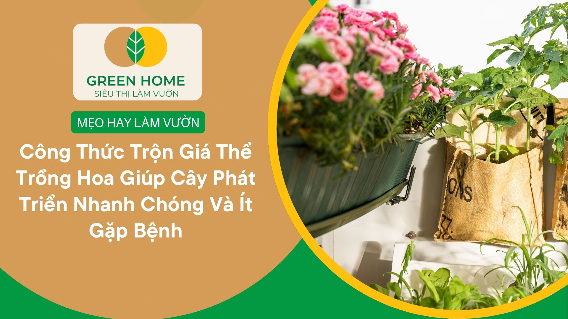 Công Thức Trộn Giá Thể Trồng Hoa Giúp Cây Phát Triển Nhanh Chóng Và Ít Gặp Bệnh
