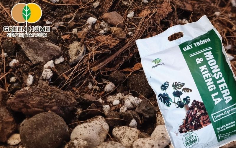 Xơ dừa và trấu hun là thành phần phổ biến trong giá thể trồng kiểng lá