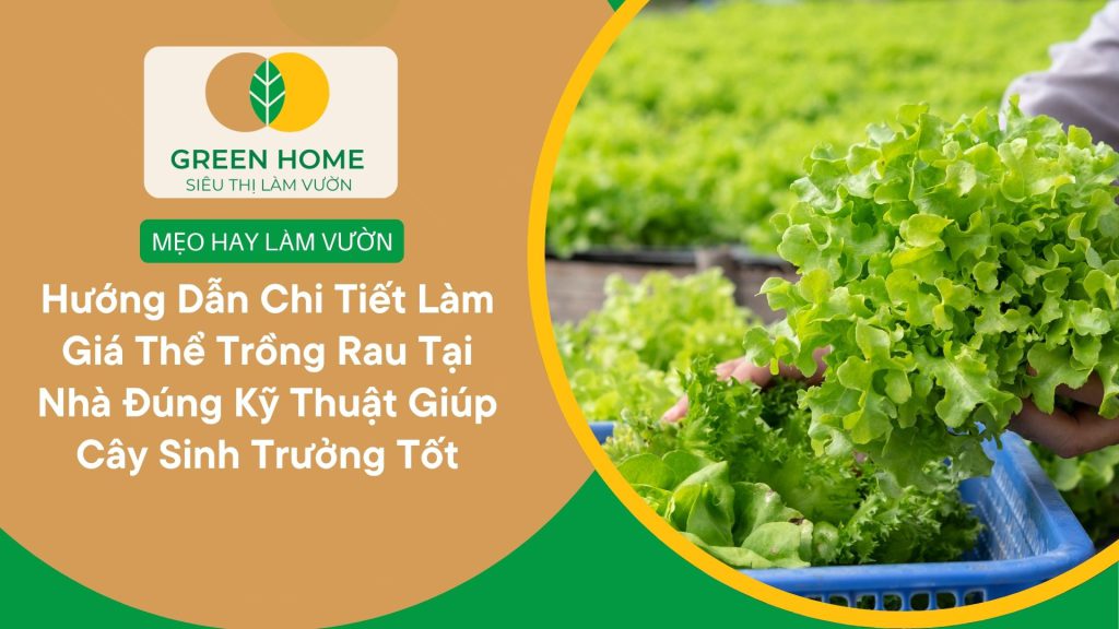 Giá thể hữu cơ thân thiện với môi trường và người sử dụng