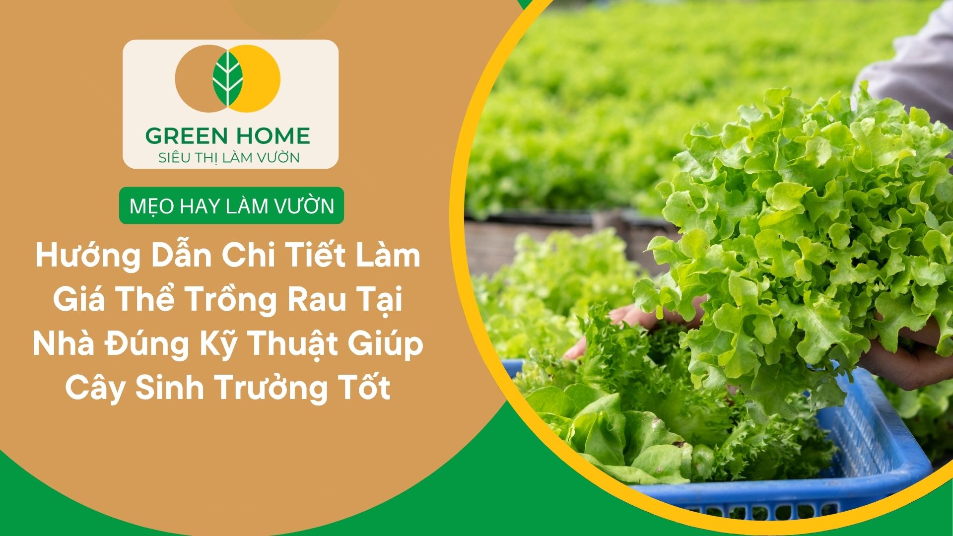 Hướng Dẫn Chi Tiết Làm Giá Thể Trồng Rau Tại Nhà Đúng Kỹ Thuật Giúp Cây Sinh Trưởng Tốt
