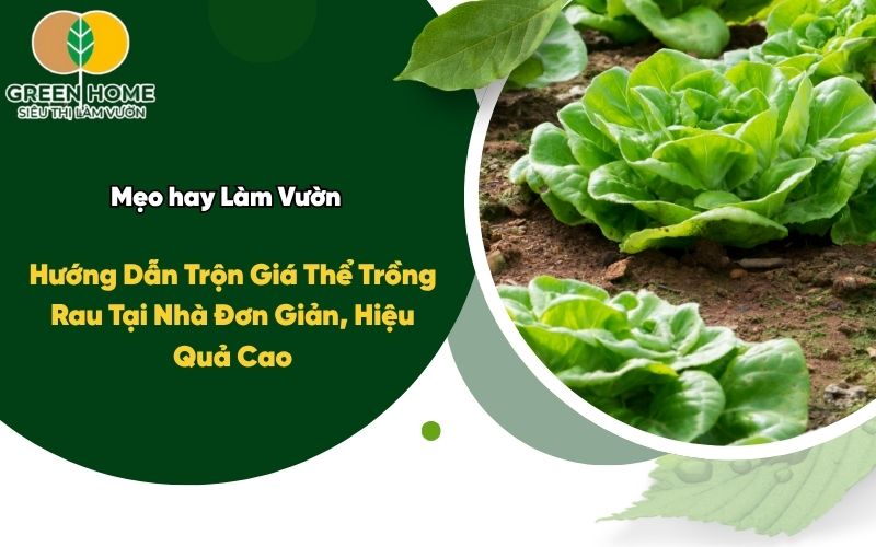 Hướng Dẫn Trộn Giá Thể Trồng Rau Tại Nhà Đơn Giản, Hiệu Quả Cao