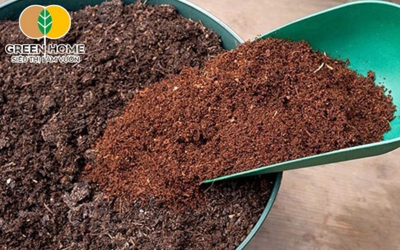 Tỷ lệ trộn giá thể trồng thủy canh hiệu quả: 50% xơ dừa, 30% perlite, 20% vermiculite