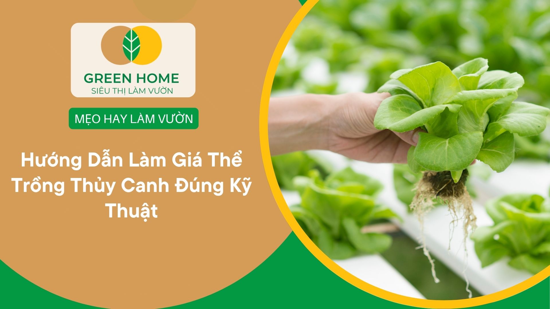 Hướng Dẫn Làm Giá Thể Trồng Thủy Canh Đúng Kỹ Thuật