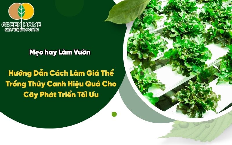 Hướng Dẫn Cách Làm Giá Thể Trồng Thủy Canh Hiệu Quả Cho Cây Phát Triển Tối Ưu