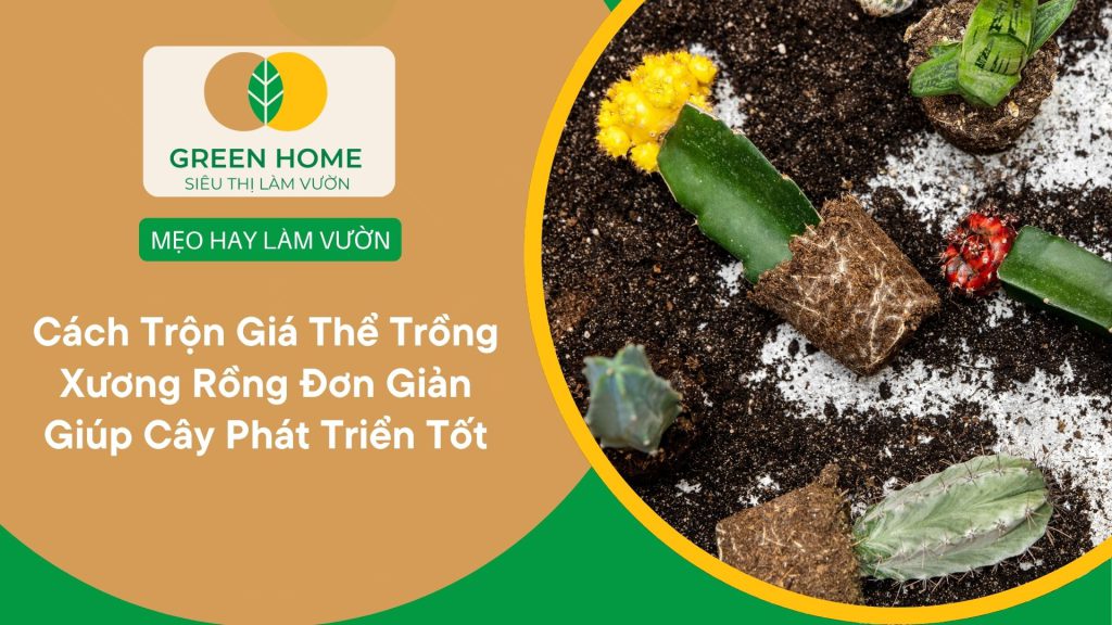 Giá thể gồm đá pumice, đá perlite và tro trấu phối trộn hợp lý