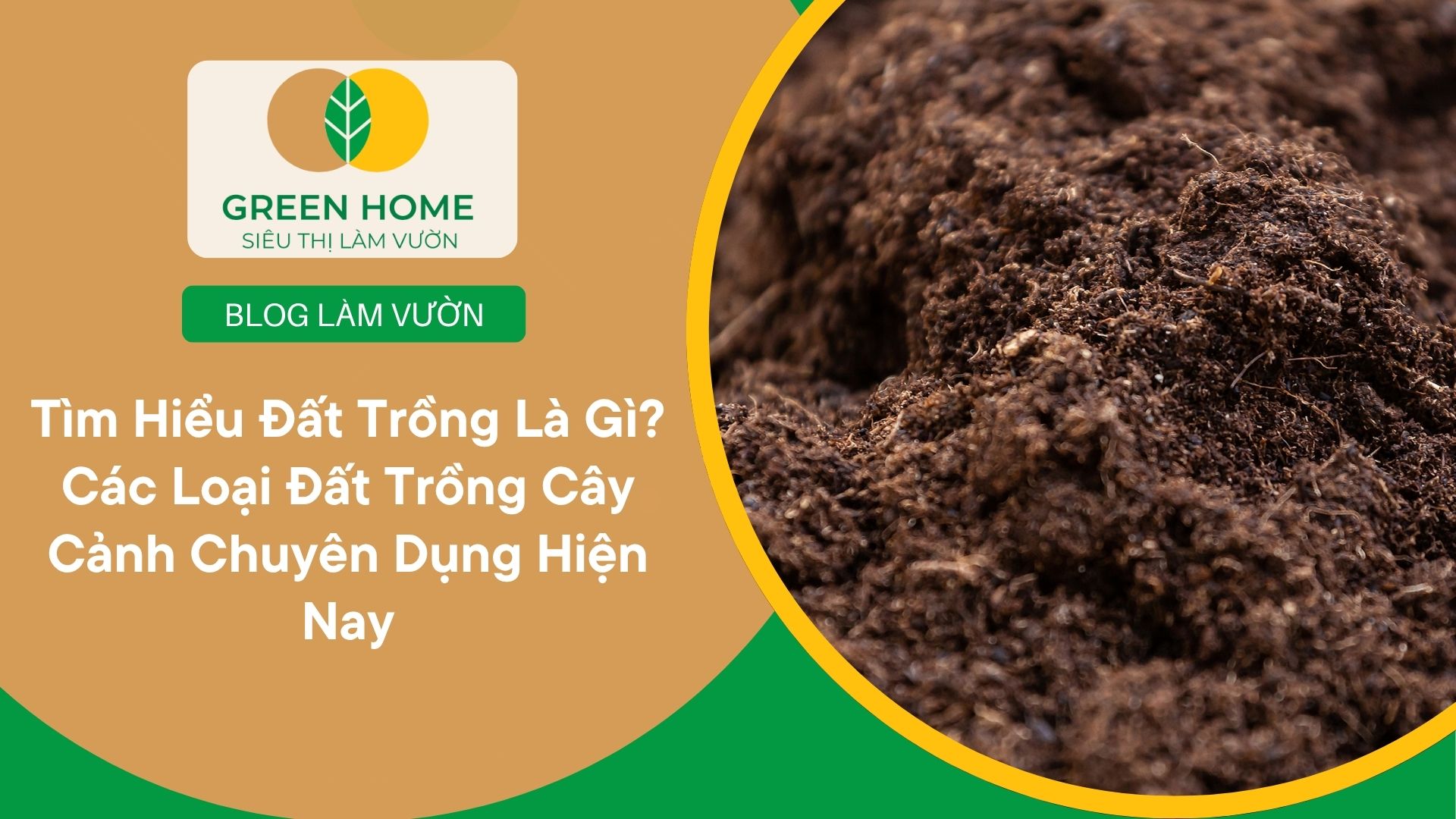 Tìm Hiểu Đất Trồng Là Gì? Các Loại Đất Trồng Cây Cảnh Chuyên Dụng Hiện Nay