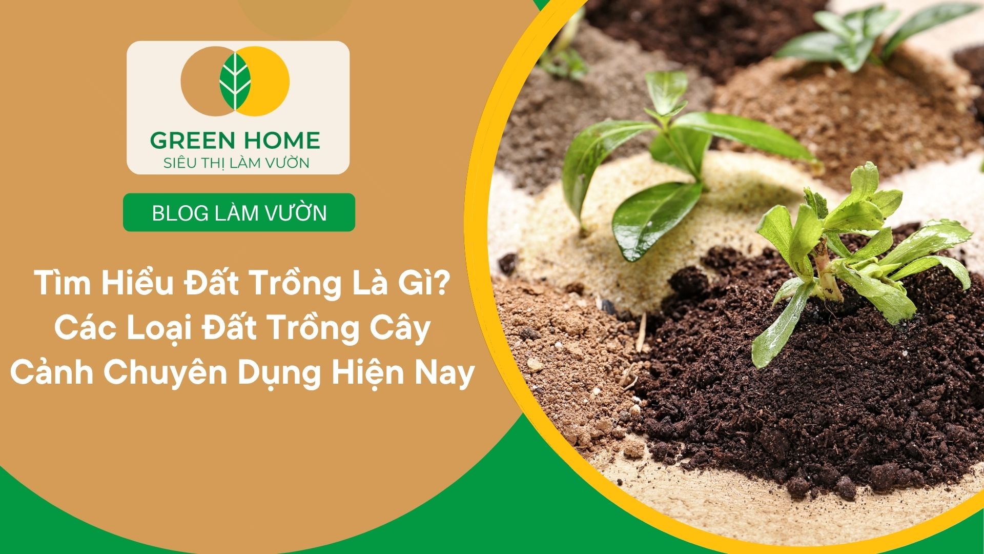 Tìm Hiểu Đất Trồng Là Gì? Các Loại Đất Trồng Cây Cảnh Chuyên Dụng Hiện Nay