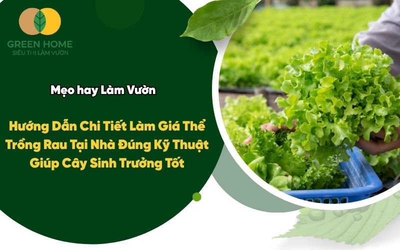 Hướng Dẫn Chi Tiết Làm Giá Thể Trồng Rau Tại Nhà Đúng Kỹ Thuật Giúp Cây Sinh Trưởng Tốt
