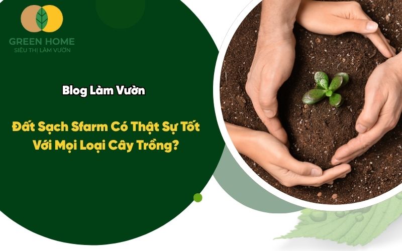 Đất Sạch Sfarm Có Thật Sự Tốt Với Mọi Loại Cây Trồng?