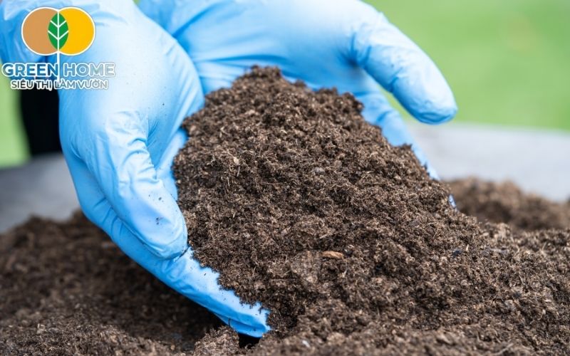An toàn tuyệt đối với đất sạch hữu cơ SFARM – không mầm bệnh, không kim loại nặng.