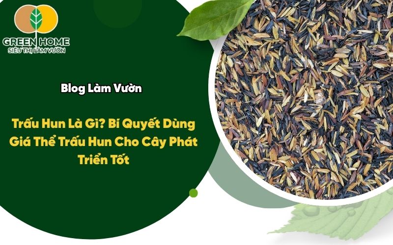 Trấu Hun Là Gì? Bí Quyết Dùng Giá Thể Trấu Hun Cho Cây Phát Triển Tốt