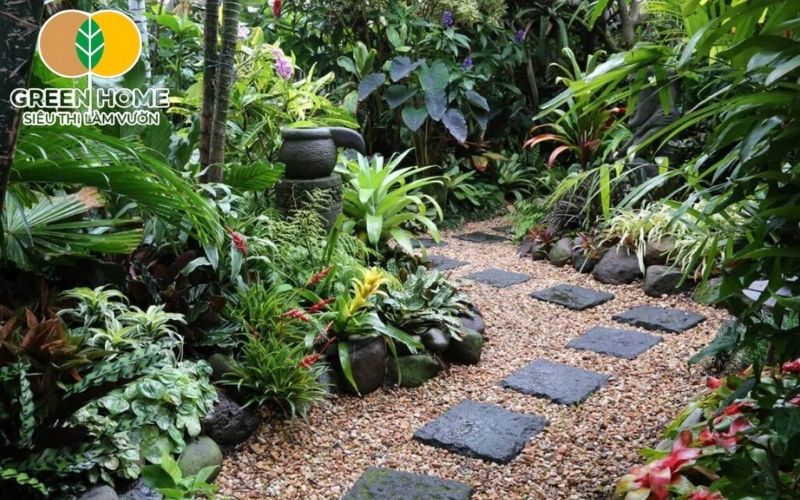 Sử dụng giá thể đã xử lý sạch để tránh nấm bệnh