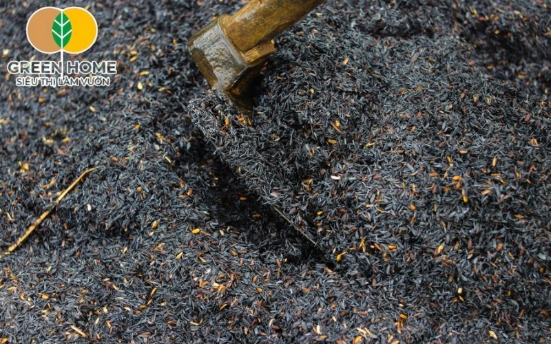 Hun trấu đúng cách tạo giá thể trấu hun sạch mầm bệnh, giữ ẩm và thông thoáng