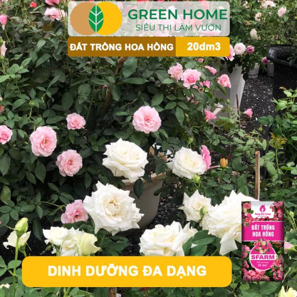 Đất Trồng Hoa Hồng Trộn Sẵn Sfarm, Bao 20dm3