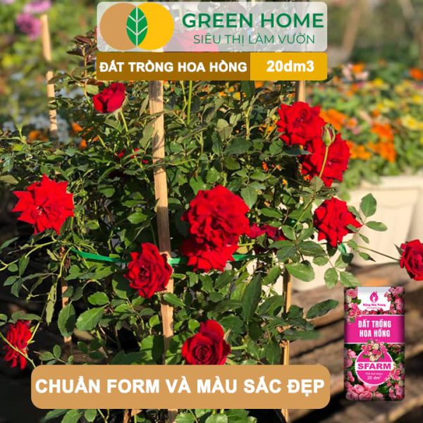 Đất Trồng Hoa Hồng Trộn Sẵn Sfarm, Bao 20dm3