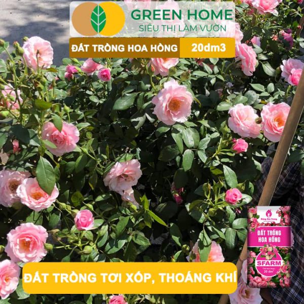 Đất Trồng Hoa Hồng Trộn Sẵn Sfarm, Bao 20dm3