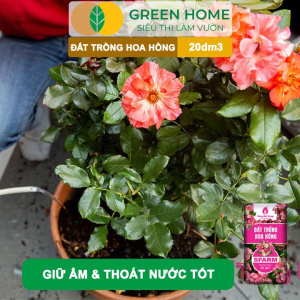 Đất Trồng Hoa Hồng Trộn Sẵn Sfarm, Bao 20dm3