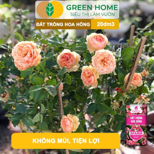 Đất Trồng Hoa Hồng Trộn Sẵn Sfarm, Bao 20dm3