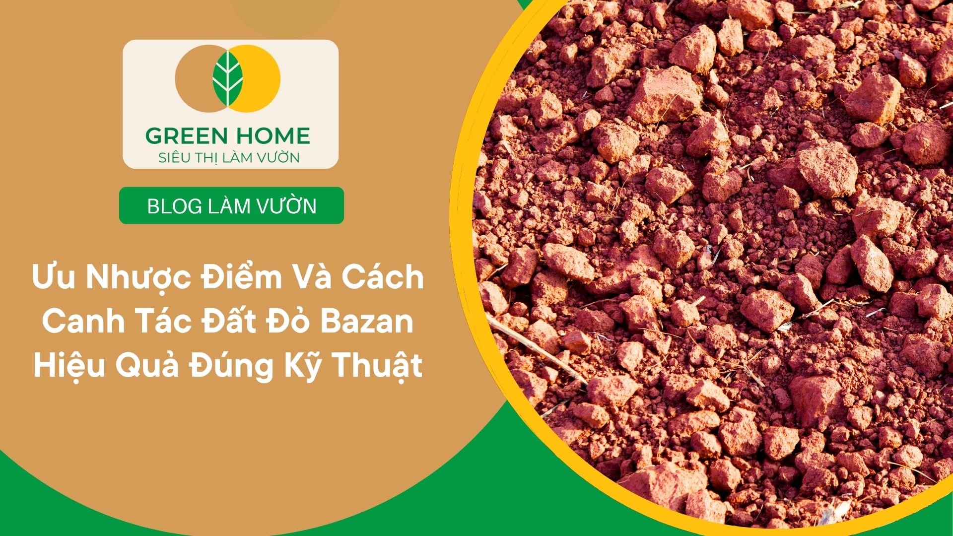 Ưu Nhược Điểm Và Cách Canh Tác Đất Đỏ Bazan Hiệu Quả Đúng Kỹ Thuật