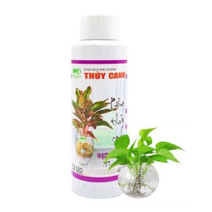 Dung Dịch Thủy Canh GreenHome, Điền Trang, Chai 100ml, Chuyên Cây Cảnh Trong Nhà, Trầu Bà, Phú Quý