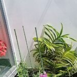 Ảnh khách chụp sản phẩm