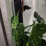 Ảnh khách chụp sản phẩm