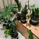 Ảnh khách chụp sản phẩm