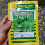 Ảnh khách chụp sản phẩm