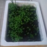 Ảnh khách chụp sản phẩm