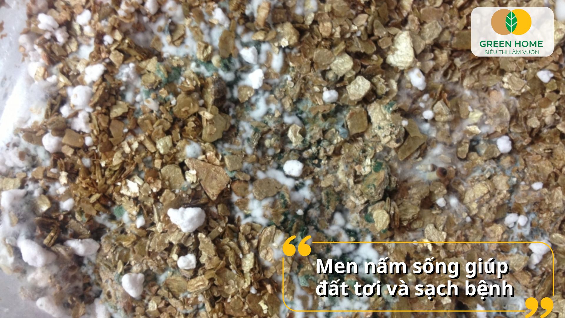 Dễ dàng sử dụng các loại nấm Trichoderma trong mọi loại đất trồngCác loại nấm Trichoderma phù hợp cả vườn nhà và nông trại quy mô lớ
