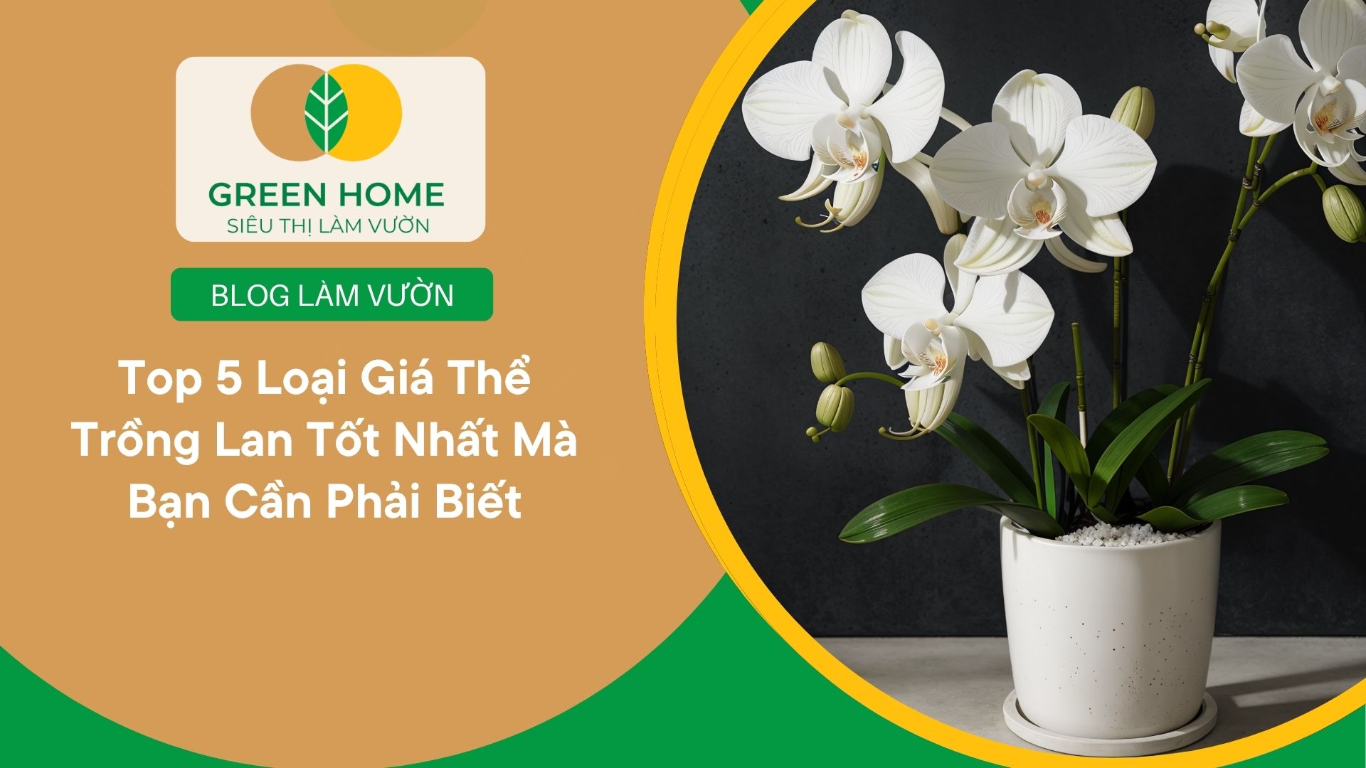 Top 5 Loại Giá Thể Trồng Lan Tốt Nhất Mà Bạn Cần Phải Biết