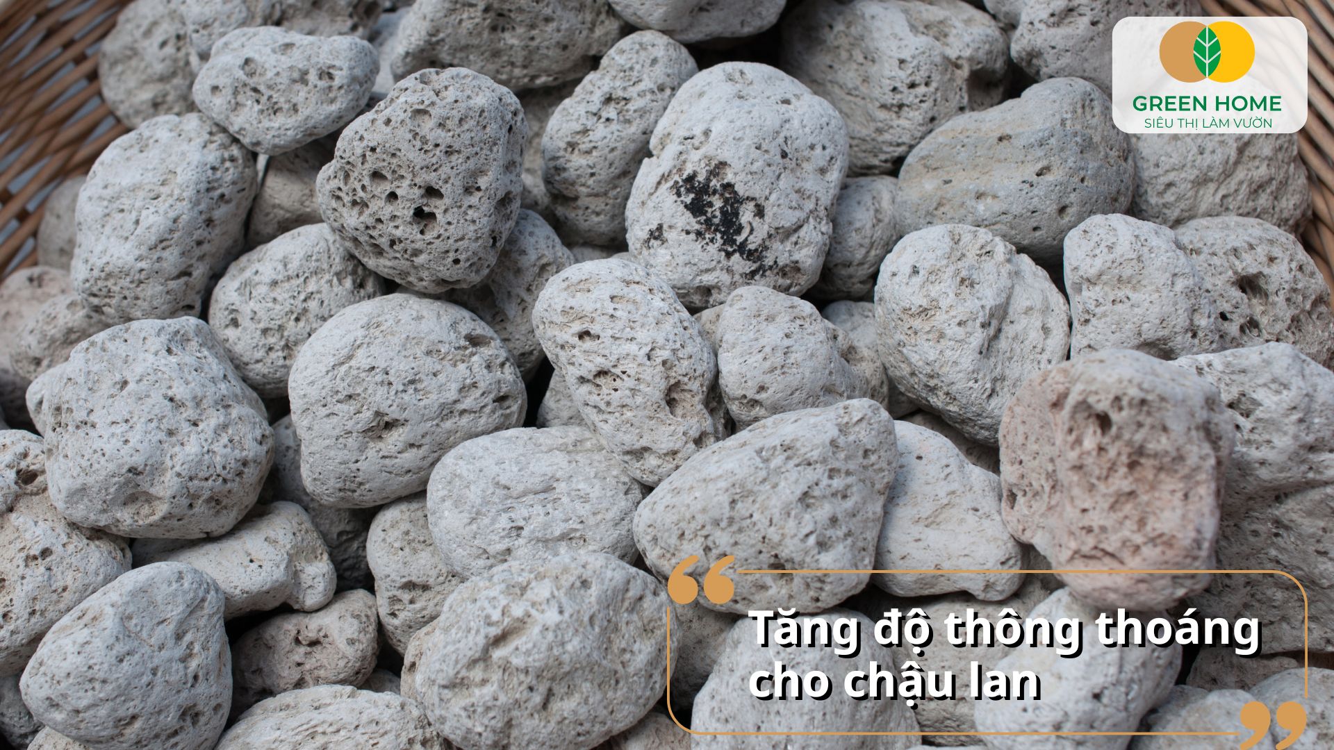 Các loại giá thể trồng lan có thể tái sử dụng nếu được xử lý đúng cách